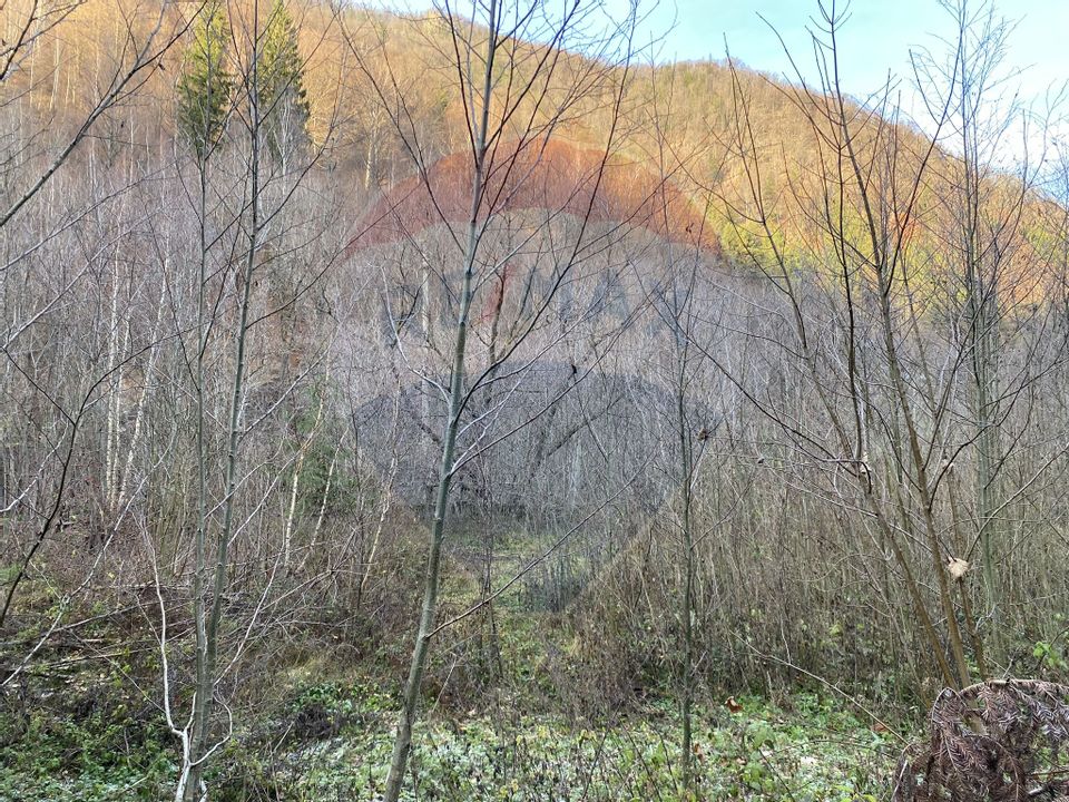 Land 1,000sqm Valea Ierii / Drumul Principala