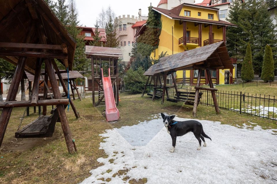 3 room Apartment for sale