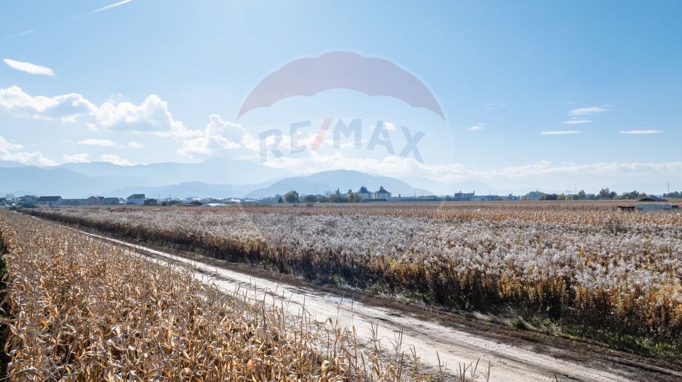 Land 520sqm Brasov / Strada Aron Pumnul