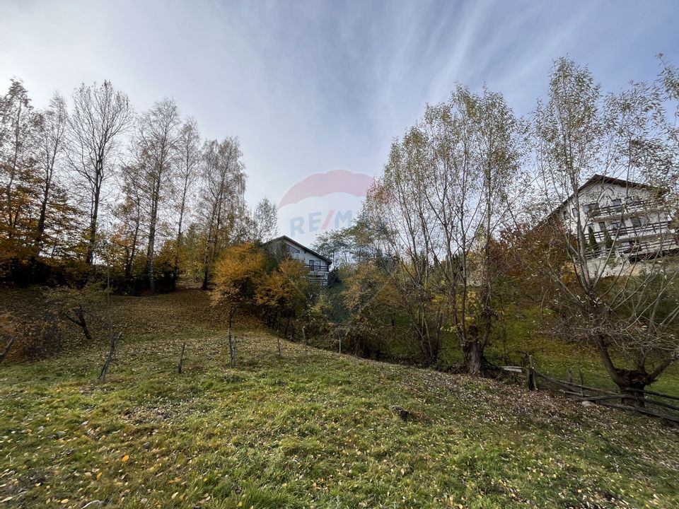 Teren de Vis în Bran – 1000mp Plat, Liniște Absolută și Aer Curat