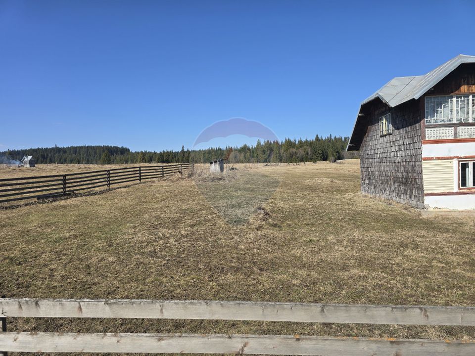 Land 23,765sqm Poiana Stampei / Strada CASOI