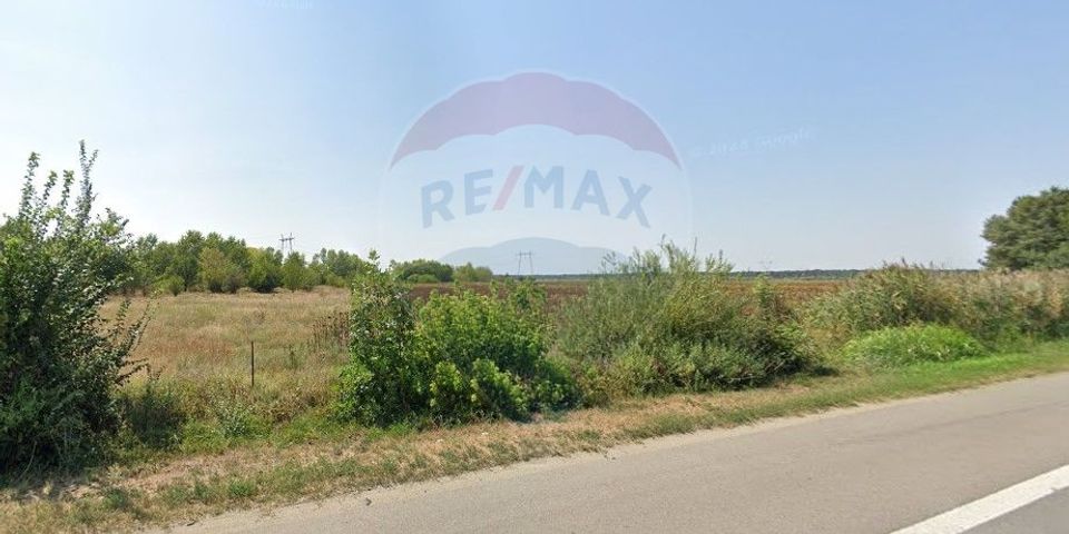 Land 295,413sqm Floresti-Stoenesti / None