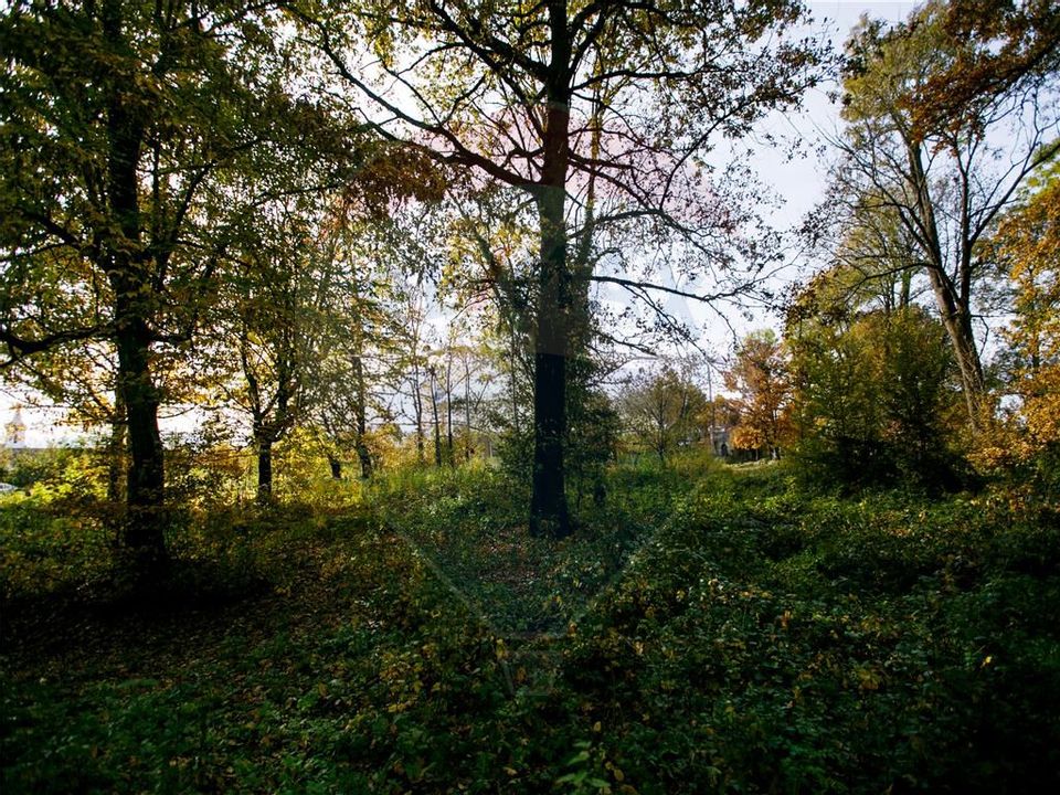 Domeniu Baronial de vanzare in localitatea CIL , Judet Arad