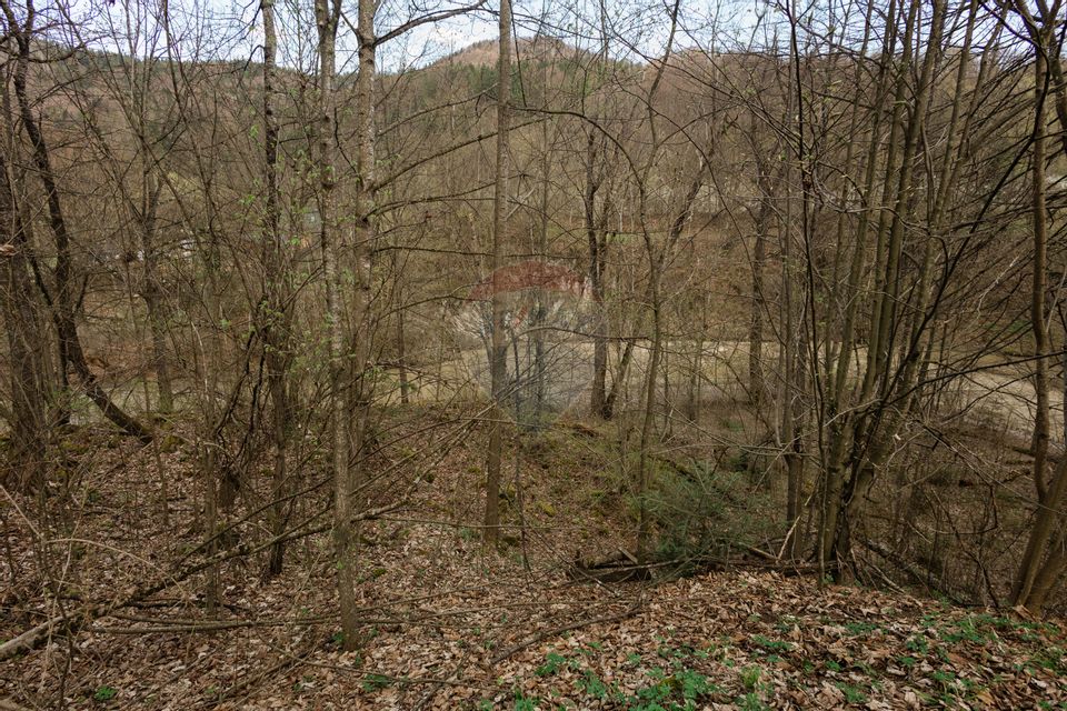 Proprietate unică în Tarcău – 30.283 mp intravilan, casă P+M