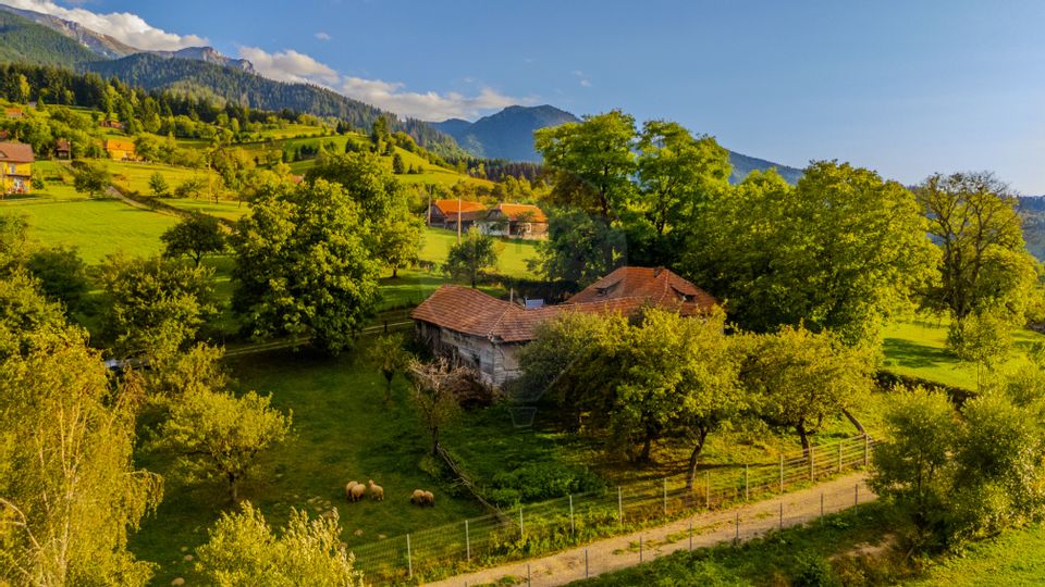 Land 3,000sqm Bran / Strada Clincea