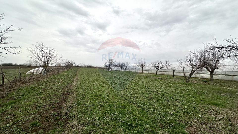 Teren 1944 mp + Casa 65 mp, Darasti-Vlasca Giurgiu/ 20 km Bucuresti