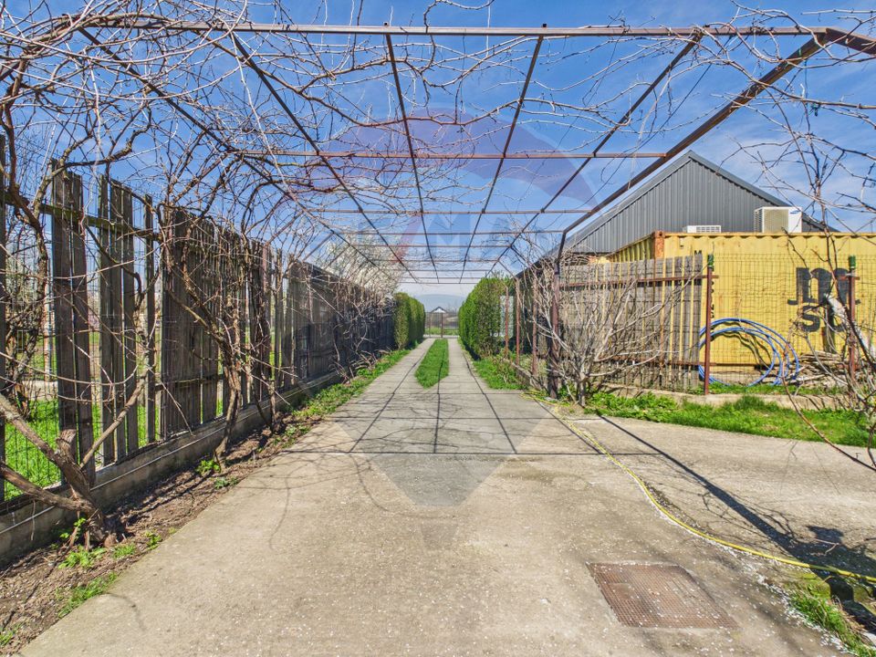 Vila Impunatoare multi-generationala cu Turnulet si Arhitectura Unica