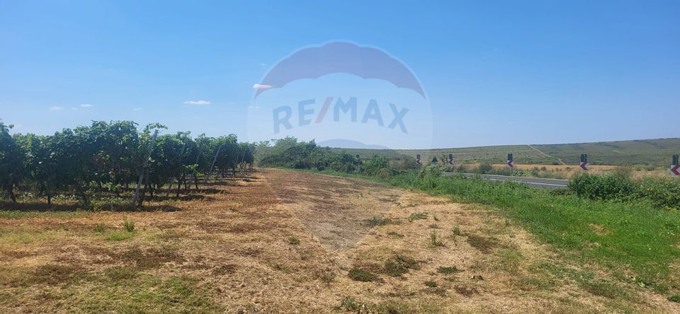 Land 70,000sqm Maderat / Strada principala