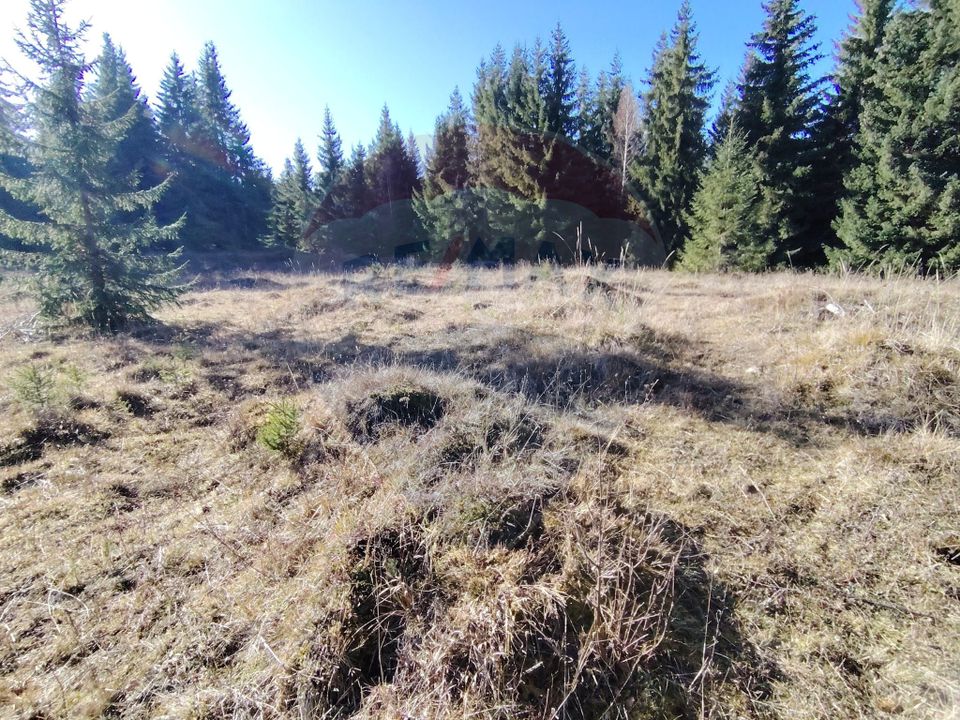 Teren 16,289mp Coverca / Drumul Bucinis