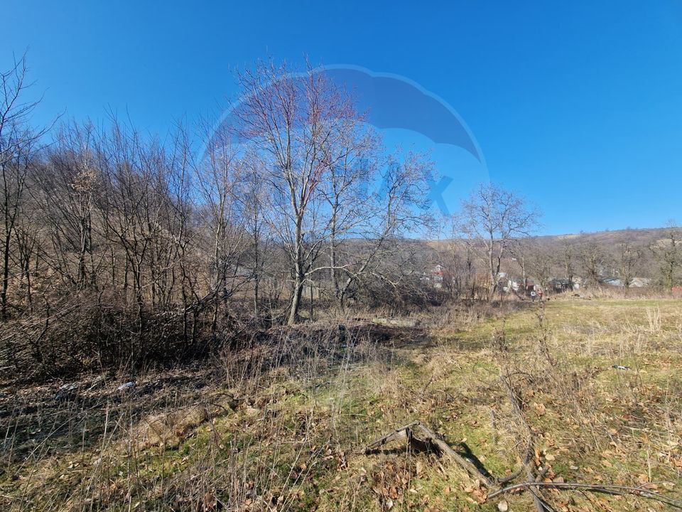 Land 4,985sqm Sascut / None