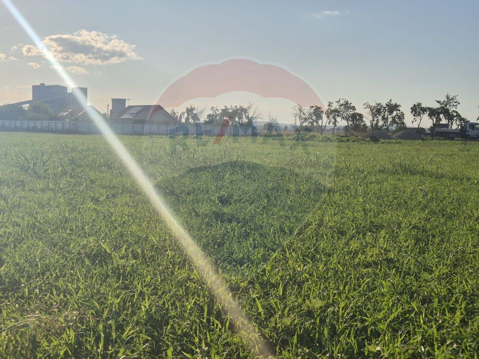 Teren 5,000mp Rusi-Ciutea / Strada Margaretelor