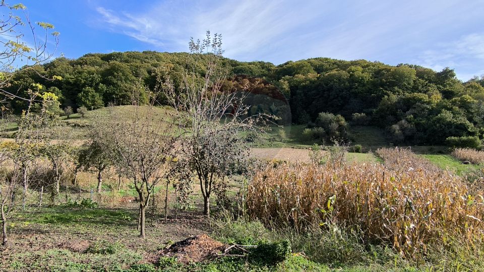 Casă saseasca in Transilvania - satul UNESCO Valea Viilor, jud. Sibiu