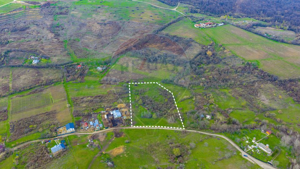 Teren 33.500 mp-Valea Orlei, Prahova/ COMISION 0%