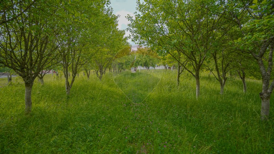 Casă cu 4 camere de vânzare in Racos, COMISION 0%!