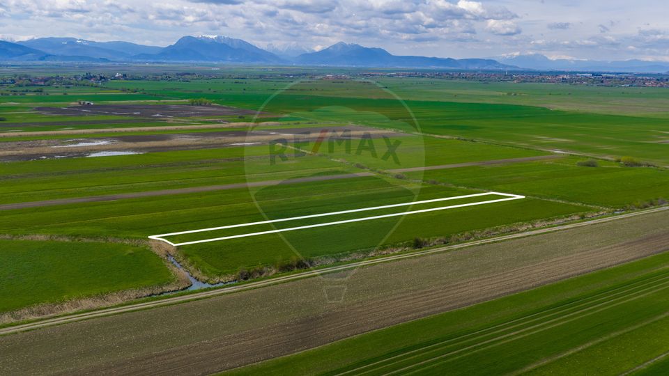 Land 4,000sqm Stupinii Prejmerului / Strada FN