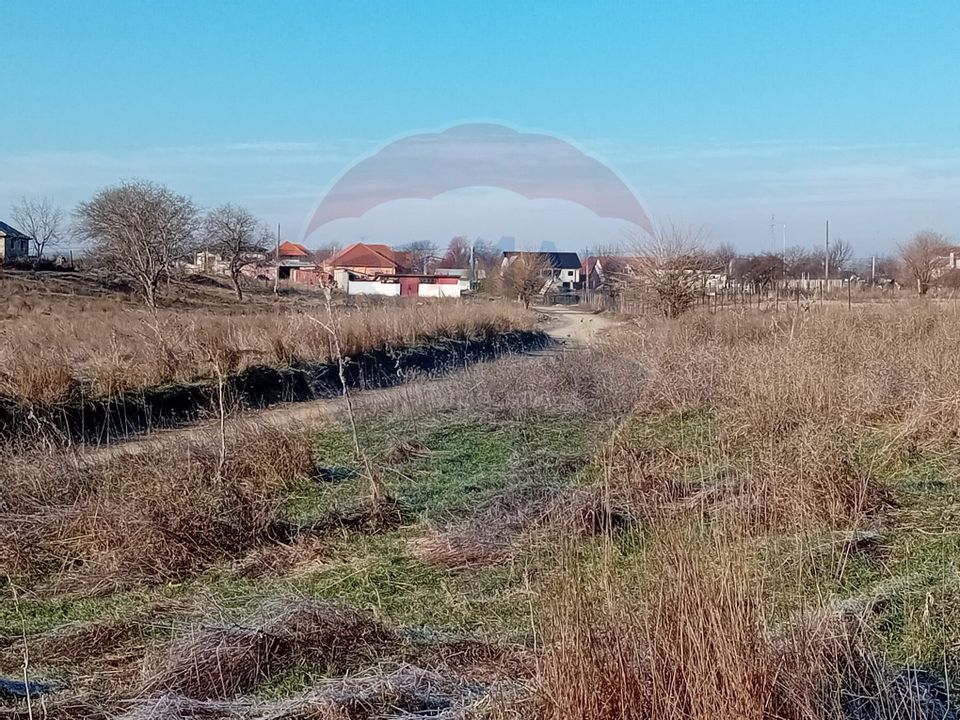 Land 7,000sqm Calafat / Aleea Tarlaua 97, parcela 17