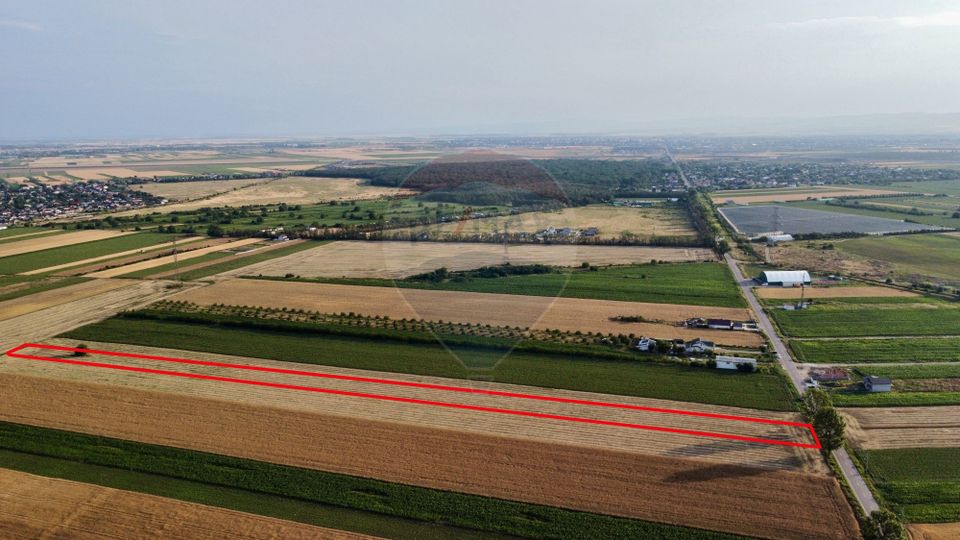 Teren 7,830mp Vanatori / Strada DJ204E