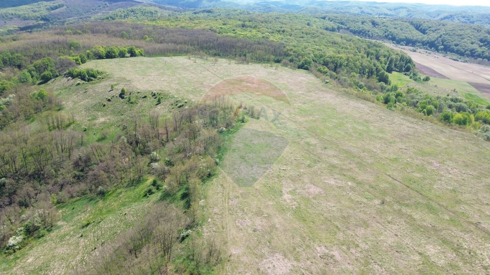 Domain - 66 Hectares - Special land Copsa Mica with access to DN14