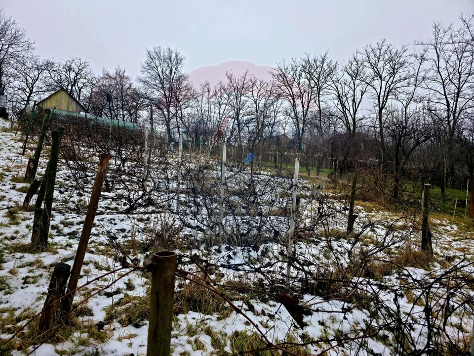 Land 4,516sqm Doina / Strada PRINCIPALA