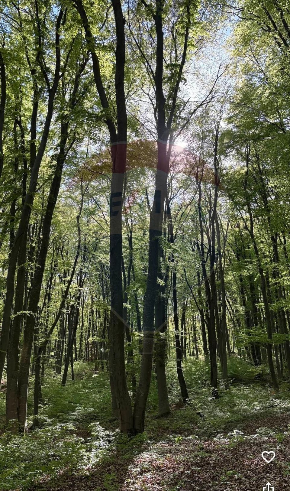 DE VANZARE Teren intr-un colț de Transilvanie autentică