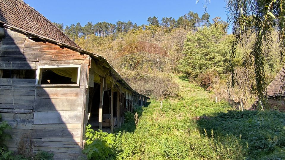 3 room House / Villa for sale