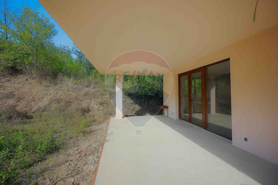 4 room House / Villa for sale, Podgoria area