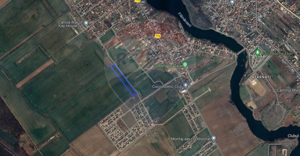 Land Buftea / Ulmului Street for sale