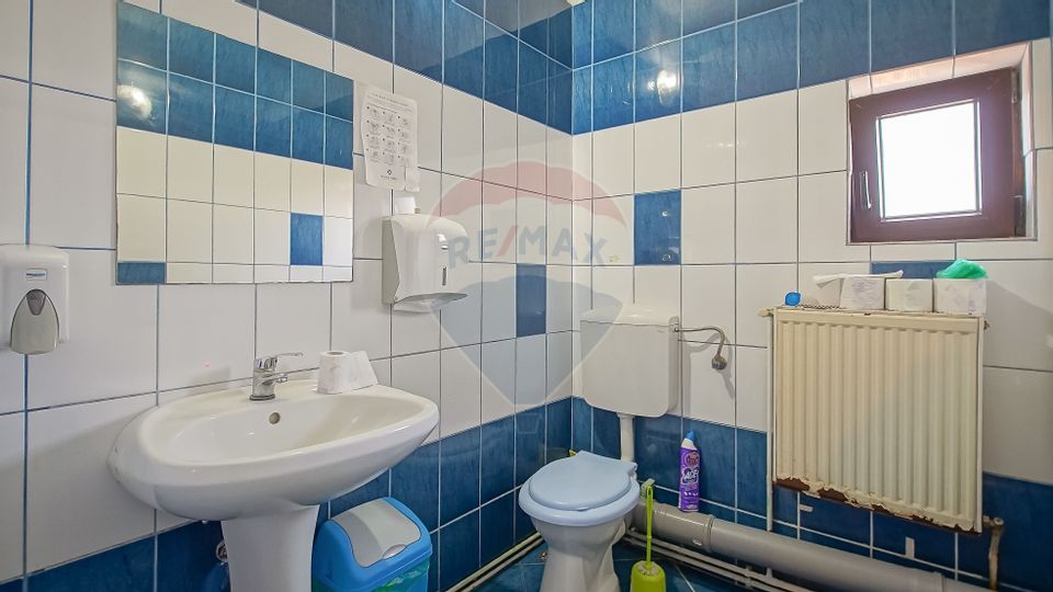 11 room House / Villa for rent, Tractorul area