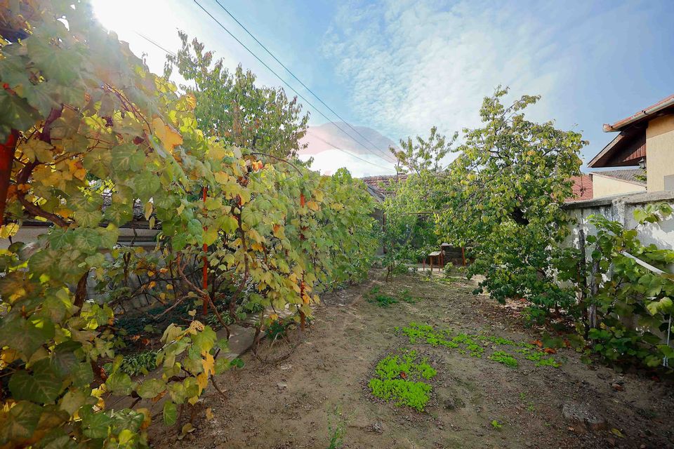 Casă cu 2 camere de vânzare în zona Ioșia Strada Arțarilor