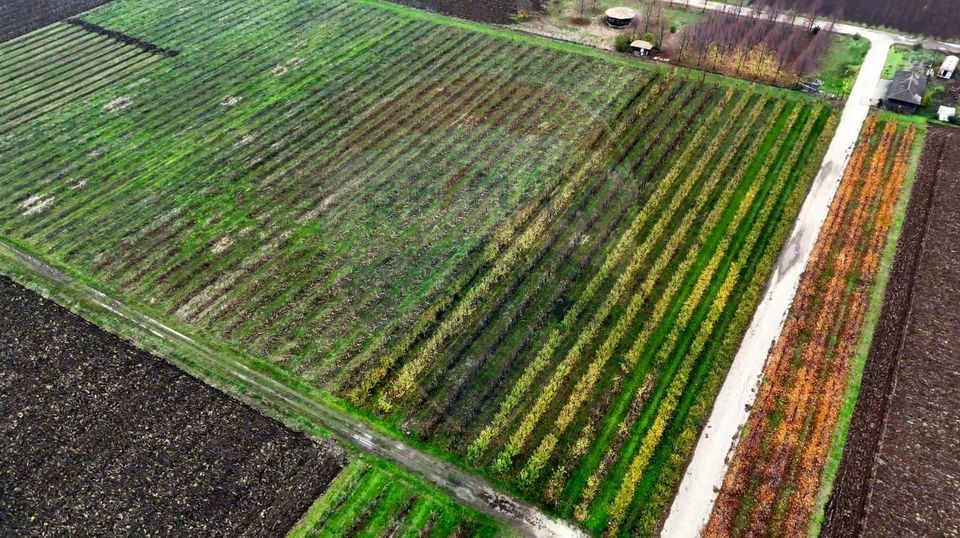 430,000sq.m Special Property for sale