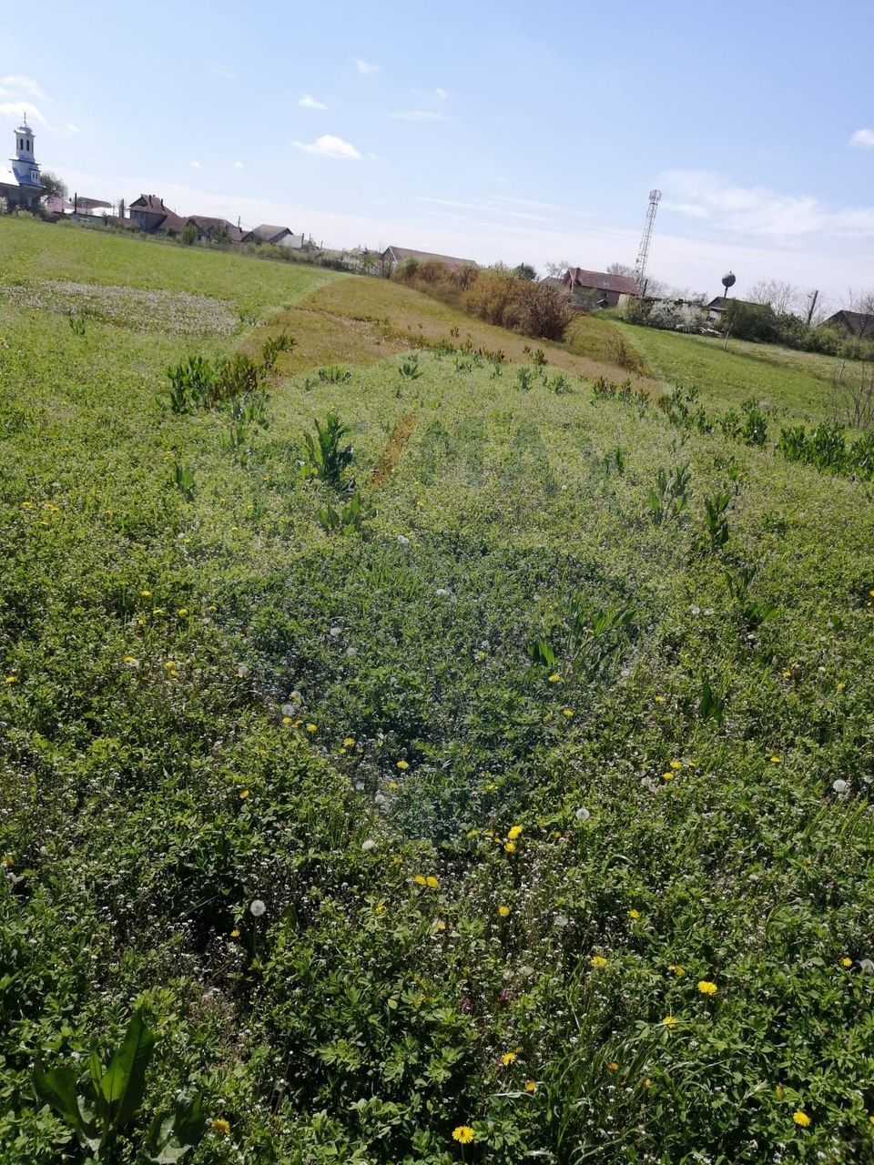 Land 6,574sqm Les / Soseaua Principala