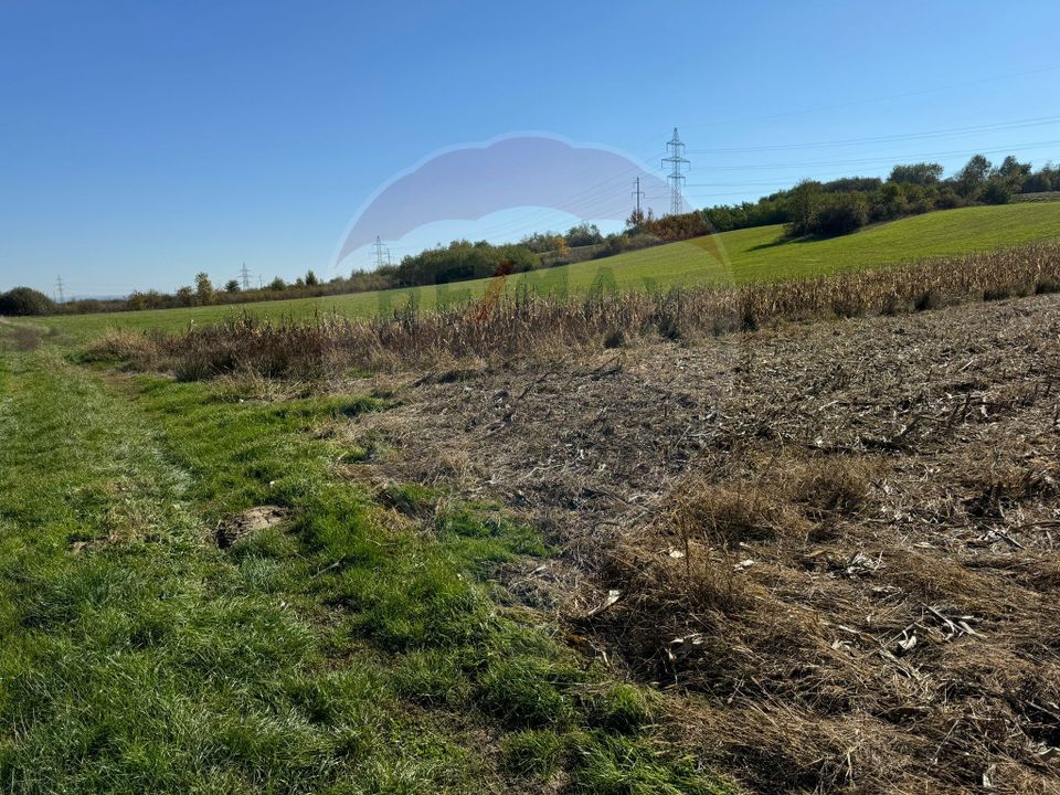 1.500 eur/ar - TEREN INTRAVILAN in Lapusel