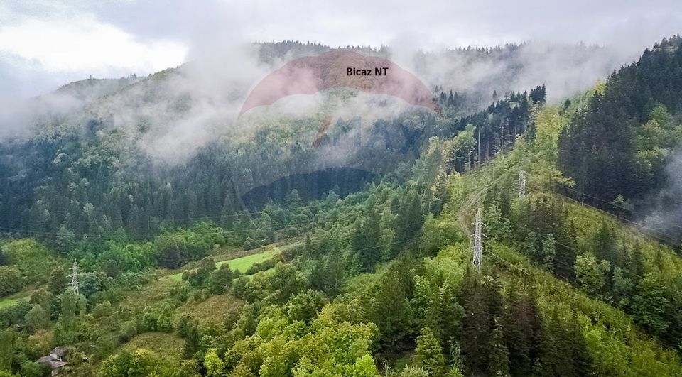 Vanzare Padure 2200 hectare în Romania