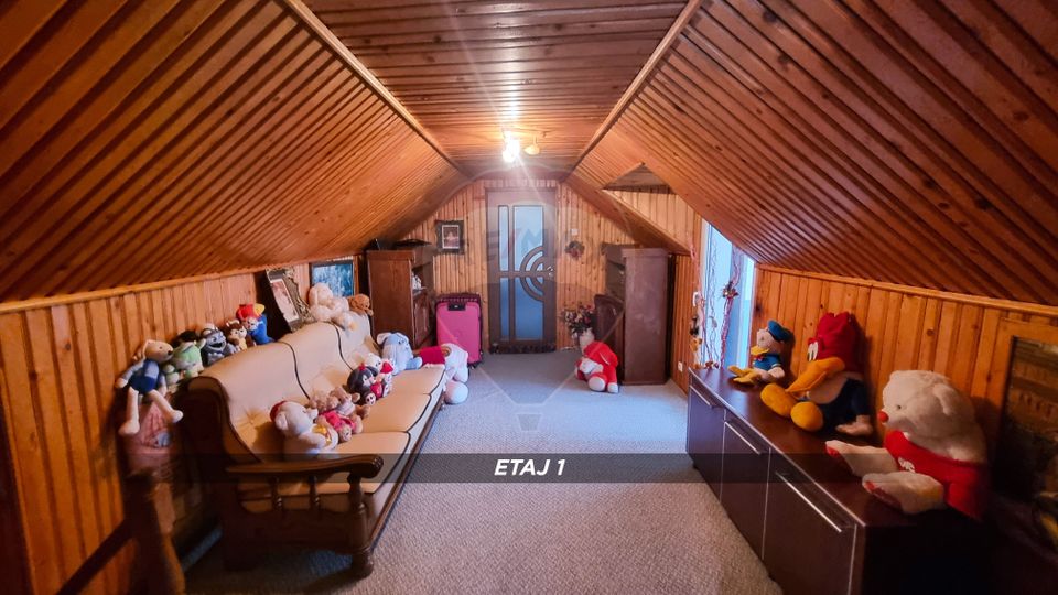 10 room House / Villa for sale, Central area