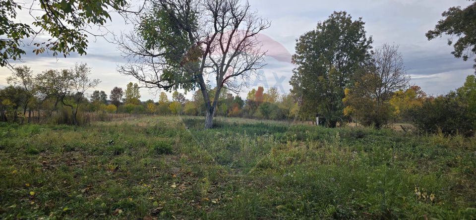 Teren generos cu potential în comuna Silindia, judetul Arad