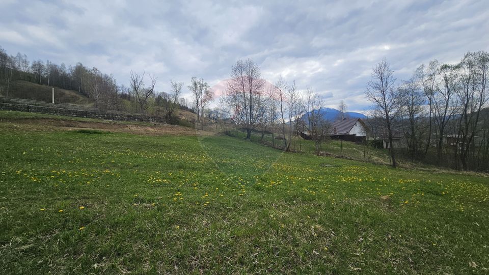 Land 2,910sqm Chiriteni / DN 15