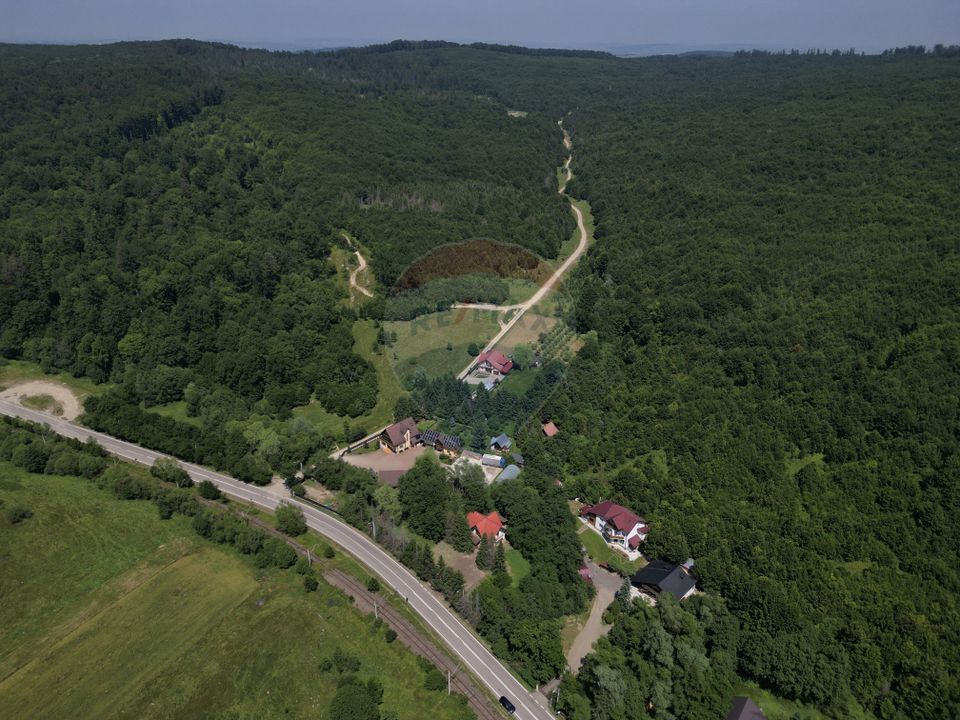 Casa cu teren generos – refugiul perfect în Paltinoasa, Suceava