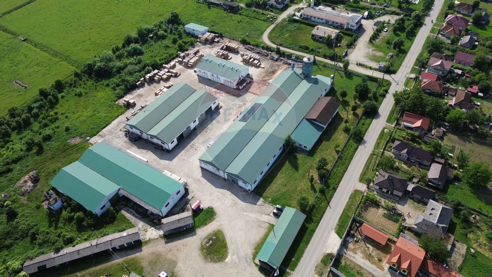 Hale de vanzare-ideale pentru depozit sau productie