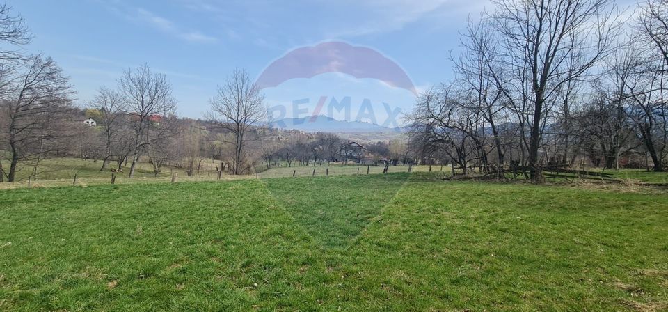 Land 1,000sqm Predelut / Strada Piatra Craiului