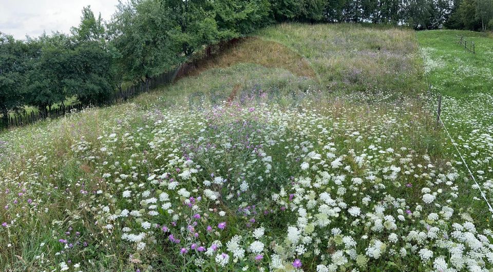Teren 3,311mp Molid -Vama, Strada Stefan cel Mare, Suceava