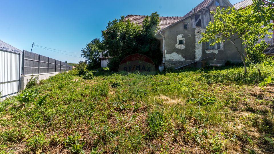 Casa cu gradina de vanzare in Copaceni