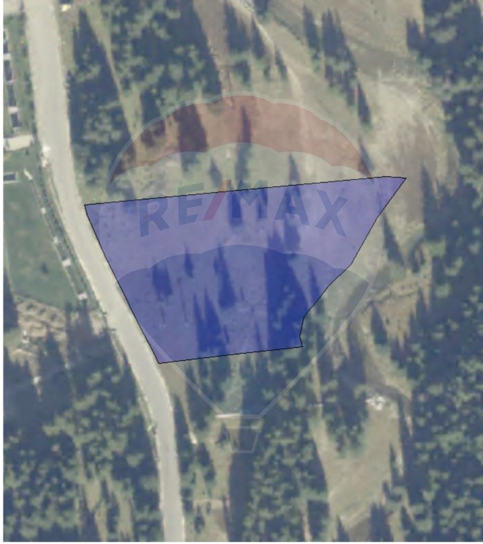 Teren de vanzare - 5000 mp - Peștera Padina