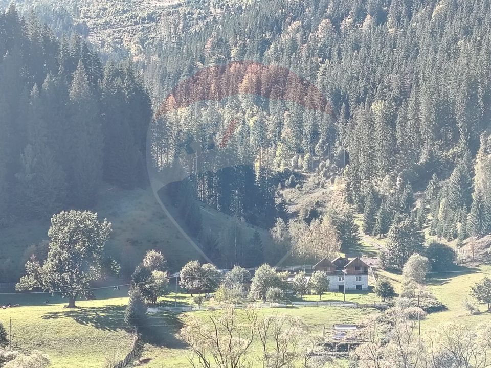 Casă în Vatra Dornei, zona Argestru, cu 11.541m.p. TEREN INTRAVILAN