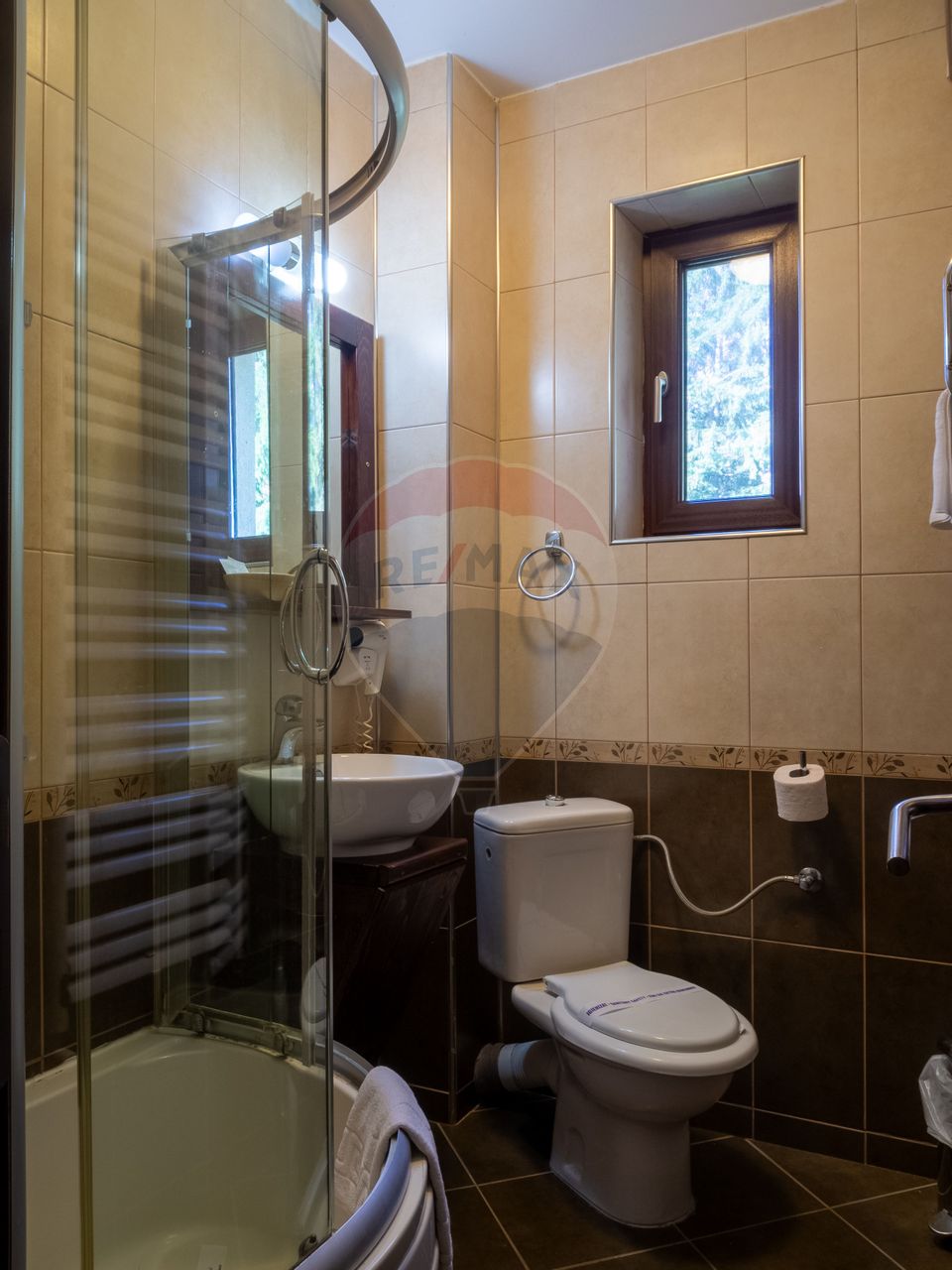 14 room Hotel / Pension for sale, Vladet - Trei Brazi area