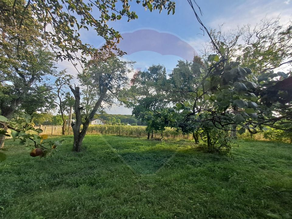 Casă de vânzare, 3 camere, langa manastirea Runc