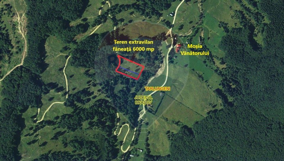 Land 6,000sqm Dalghiu / DJ 103A