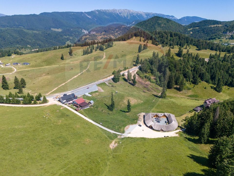 Teren 56599mp Dambovicioara / Soseaua DN 73Dealul sasului!