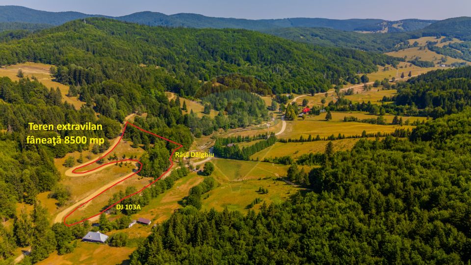 Land 8,500sqm Dalghiu / DJ 103A