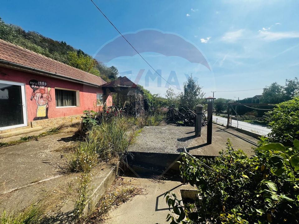 Casă P+E+M cu spălătorie auto și restaurant la DN 7 în LIPOVA
