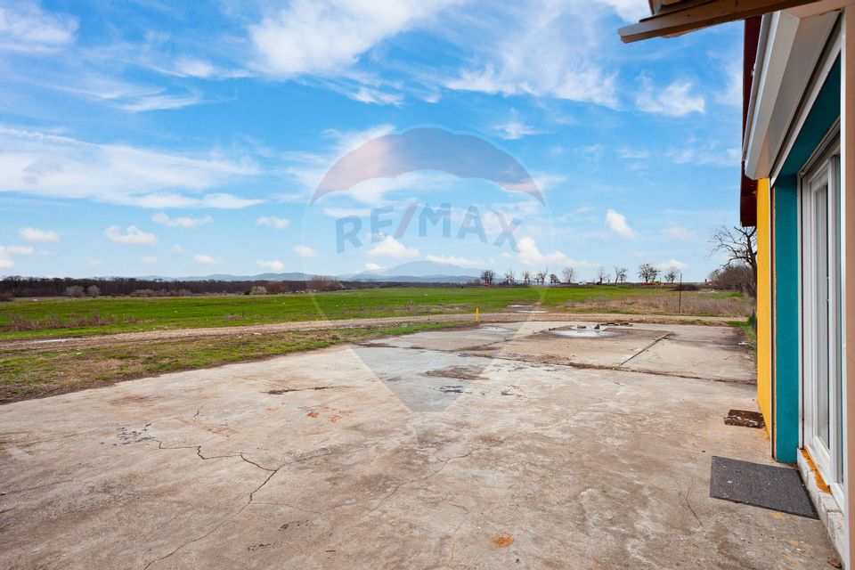Casă renovată modern cu 3 camere de vânzare Frumușeni Arad